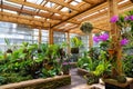 A greenhouse with a brown wooden framing filled with lush green trees and plants with colorful flowers at Atlanta Botanical Garden Royalty Free Stock Photo