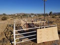 Greenhouse build custom wood frame