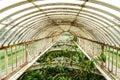 Greenhouse