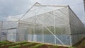 A greenhouse built for growing melons Royalty Free Stock Photo