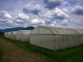 Greenhouse cloth. transparent outdoor covered cloth