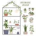 Greenhouse Creator. Set with house plants and pots. Concept of botanical garden, home gardening