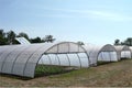 Greenhouse with cultivated fresh vegetables Royalty Free Stock Photo