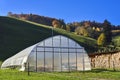 Greenhouse with cultivated fresh vegetables from Wavern. Royalty Free Stock Photo