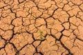 Deviation of the dry season until the land cracked.