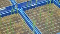 Greenhouse experimental cultivation technologically for scientific research of barley Hordeum vulgare and wheat Triticum