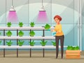 Greenhouse Farming Background Illustration Royalty Free Stock Photo