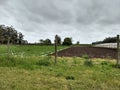 Greenhouse field cultivated