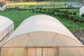 Greenhouse in a Field