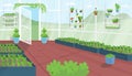 Greenhouse flat color vector illustration
