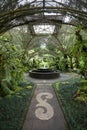 Greenhouse with fountain, green plants and glass roof.