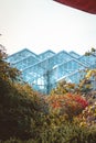 The greenhouse at the Frederik Meijer Gardens in Autumn