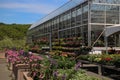 Greenhouse full of flowers at Ferjulians Farmstand Hudson Ma June 5 2021