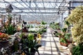 Greenhouse full of flowers and plants Royalty Free Stock Photo