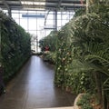 Greenhouse Pathway