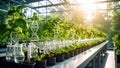 Greenhouse with genetic modification concept displaying plants and DNA models, science and innovation. Royalty Free Stock Photo
