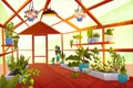 Greenhouse interior with garden inside, orangery Royalty Free Stock Photo