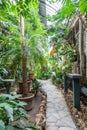 Greenhouse interior with plant and flower cultivation. Green gardening, nobody