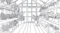 Greenhouse Interior Sketch with Potted Plants - Line Art Royalty Free Stock Photo