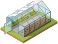 Greenhouse isometric 3d icon. Growing seedlings in glasshouse