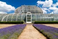 Greenhouse at Kew Gardens in London Royalty Free Stock Photo