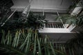 Greenhouse with a large coffee tree and palm trees. The interior features marble floors, plenty of plants and a balcony