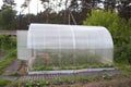 Greenhouse made of polycarbonate. greenhouse in the garden for growing vegetables, cucumbers, tomatoes, peppers. arc metal frame.