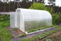 Greenhouse made of polycarbonate. greenhouse in the garden for growing vegetables, cucumbers, tomatoes, peppers. arc metal frame.
