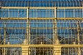 Greenhouse. National Botanic Gardens. Dublin. Ireland