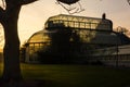 Greenhouse. National Botanic Gardens. Dublin. Ireland