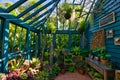 Greenhouse at Overbeck House with Cactus