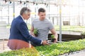 Greenhouse owner discussing over herb seedlings with botanist in plant nursery