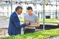 Greenhouse owner discussing over herb seedlings with botanist in plant nursery