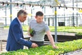 Greenhouse owner discussing over herb seedlings with botanist in plant nursery