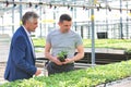 Greenhouse owner discussing over herb seedlings with botanist in plant nursery Royalty Free Stock Photo