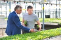 Greenhouse owner discussing over herb seedlings with botanist in plant nursery