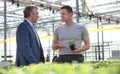 Greenhouse owner discussing over herb seedlings with botanist in plant nursery