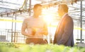 Greenhouse owner discussing over herb seedlings with botanist in plant nursery Royalty Free Stock Photo