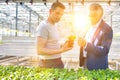 Greenhouse owner discussing over herb seedlings with botanist in plant nursery