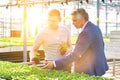 Greenhouse owner discussing over herb seedlings with botanist in plant nursery Royalty Free Stock Photo