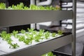 Greenhouse Plant row Grow with LED Light Indoor Farm Agriculture Technology