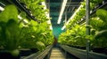 Greenhouse Plant row Grow with LED Light Indoor Farm Agriculture Technology. Generative Ai Royalty Free Stock Photo