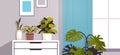 greenhouse plants potted flowers on shelves home garden concept closeup living room interior horizontal