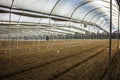 Greenhouse ready for flower seeds Royalty Free Stock Photo