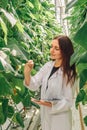 Greenhouse researcher, working to advance agricultural science using data collection methods to improve understanding of Royalty Free Stock Photo