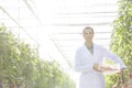 Scientist carrying tomatoes in crate by plants at greenhouse