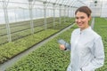 Greenhouse Seedlings Growth. Female Agricultural Engineer Royalty Free Stock Photo