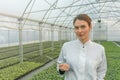 Greenhouse Seedlings Growth. Female Agricultural Engineer Royalty Free Stock Photo