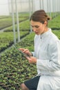 Greenhouse Seedlings Growth. Female Agricultural Engineer Royalty Free Stock Photo