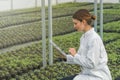 Greenhouse Seedlings Growth. Female Agricultural Engineer